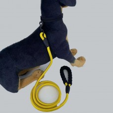 Free Samples, Stable Raw Materials, Excellent Technology, Fast Production Of pet leash Explosion Products Source Factory